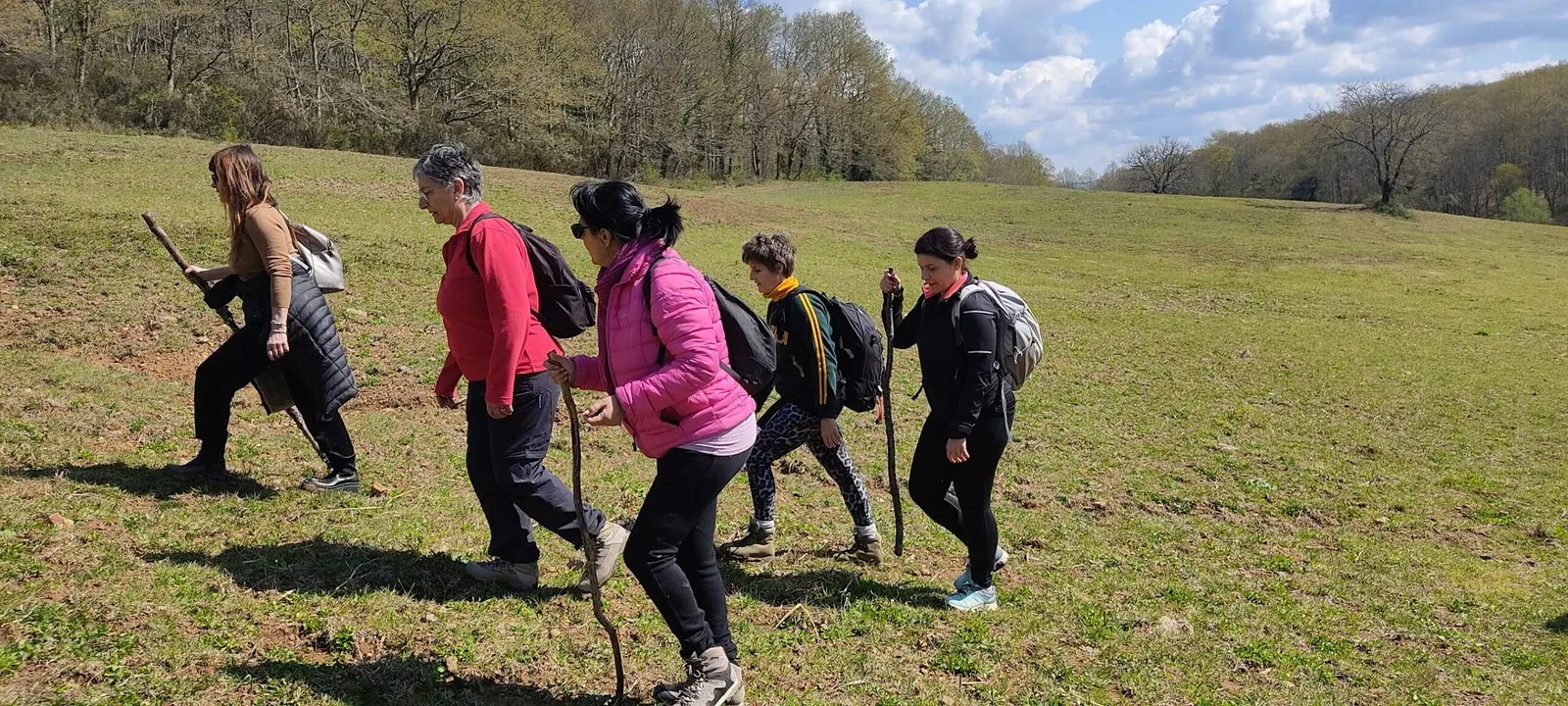 Le partecipanti camminano con zaini e bastoni attraverso un prato verde, verso il bosco