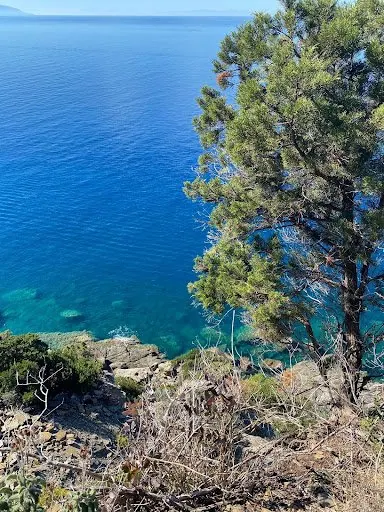 L'acqua trasparente e blu sotto la scogliera, vista dal sentiero accanto a un pino
