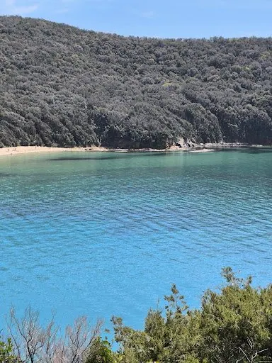 Il mare turchese della baia sotto il promontorio coperto di bosco