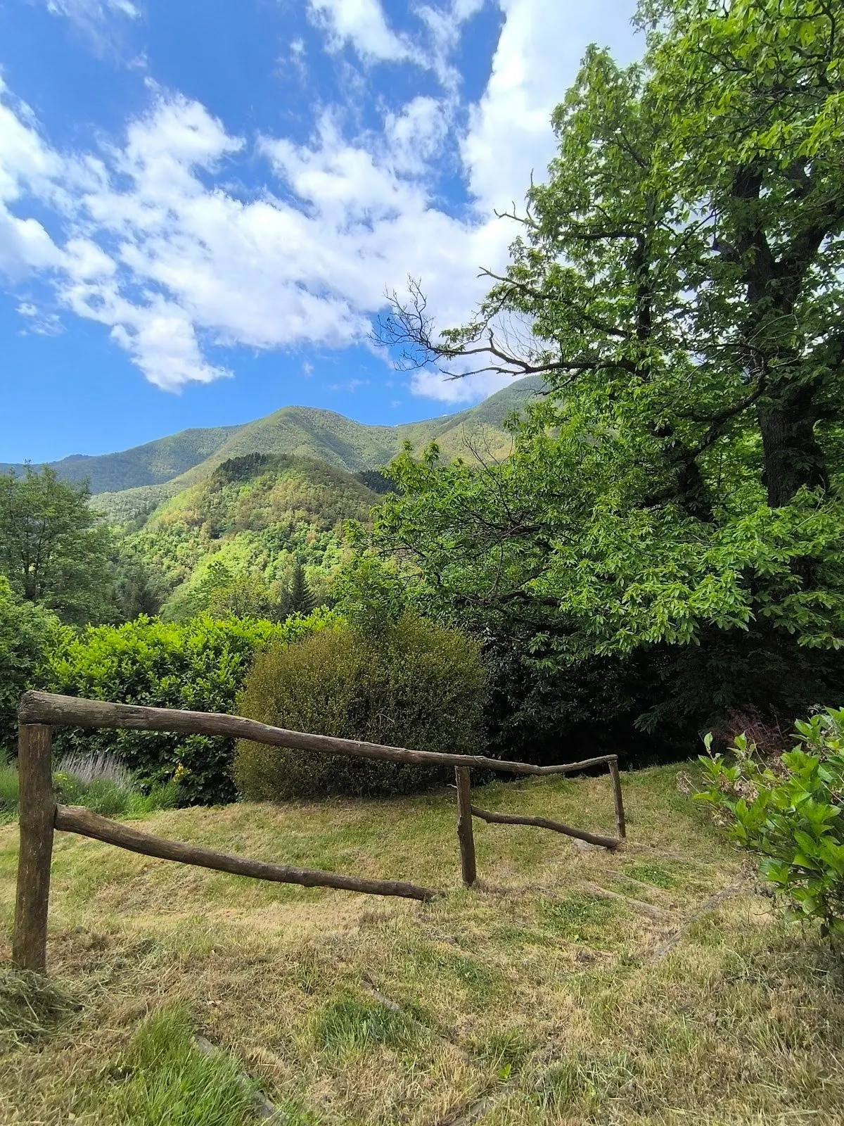 Un prato con una staccionata di legno e, oltre gli alberi, i monti verdi della valle dell'Orsigna