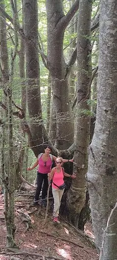 Due amiche abbracciate a un grande faggio nel bosco