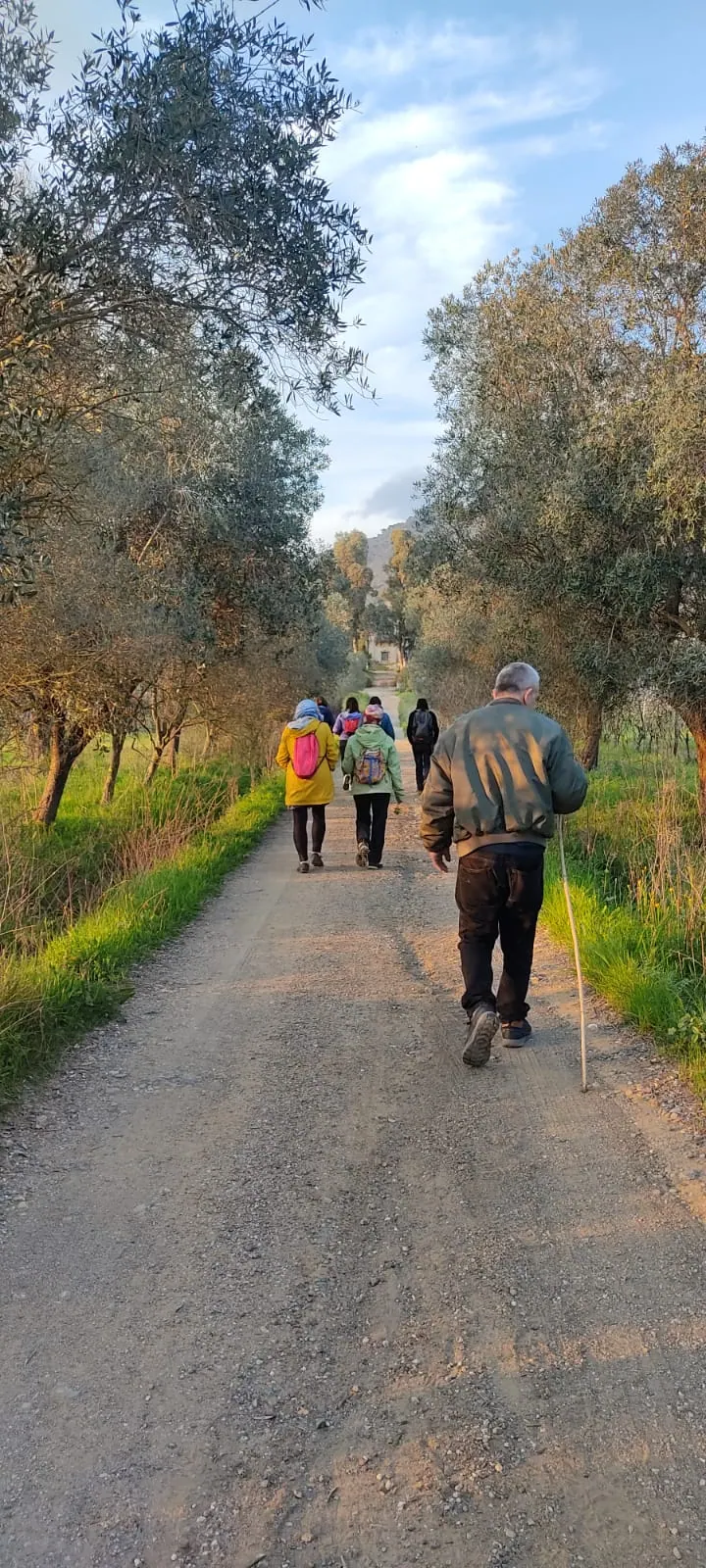 Il gruppo in cammino su una strada sterrata fra gli ulivi