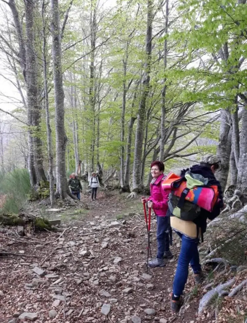 Camminatori con lo zaino in spalla nella faggeta ancora spoglia