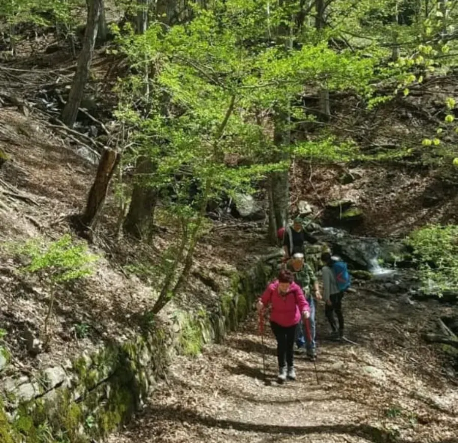 Camminatori sul sentiero nel bosco, accanto a un ruscello