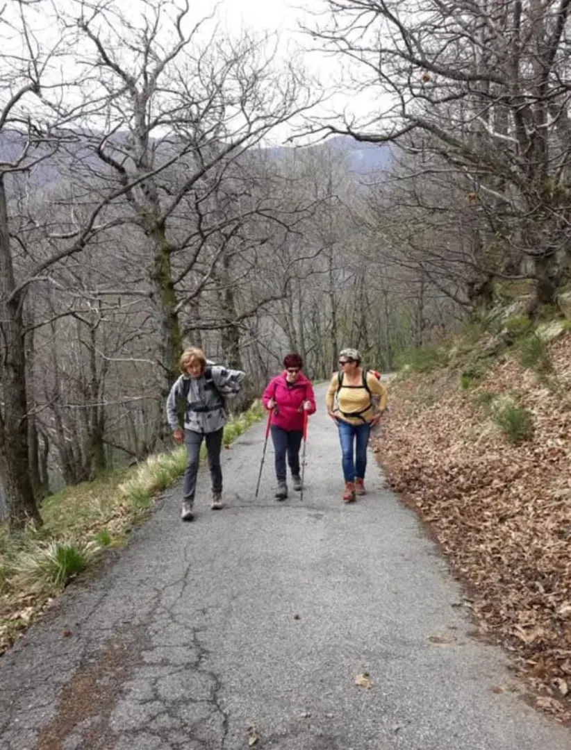 Tre camminatrici sulla strada che sale fra gli alberi della valle