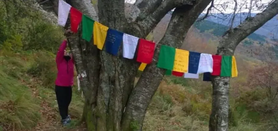 Bandierine di preghiera colorate tese fra gli alberi del bosco