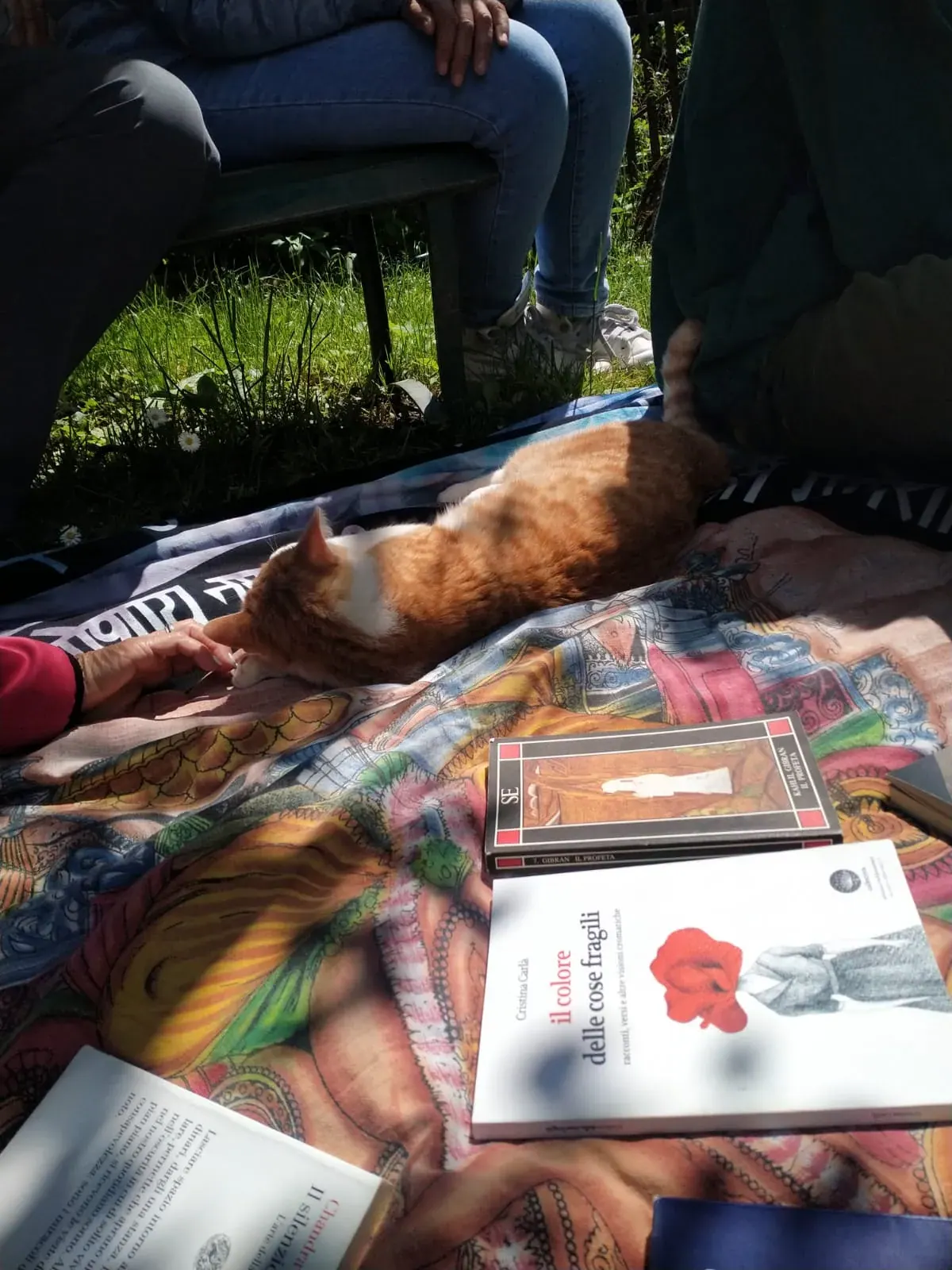 I libri di Tiziano Terzani aperti su un telo colorato steso sull'erba, accanto a un gatto rosso che dorme
