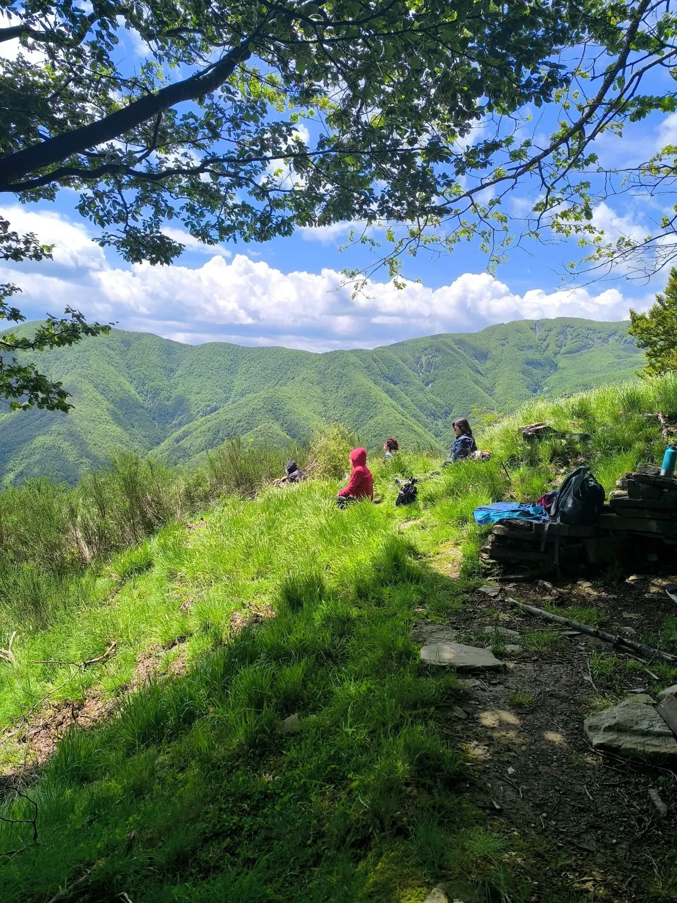 Un prato in salita e la vista sui monti verdi della valle