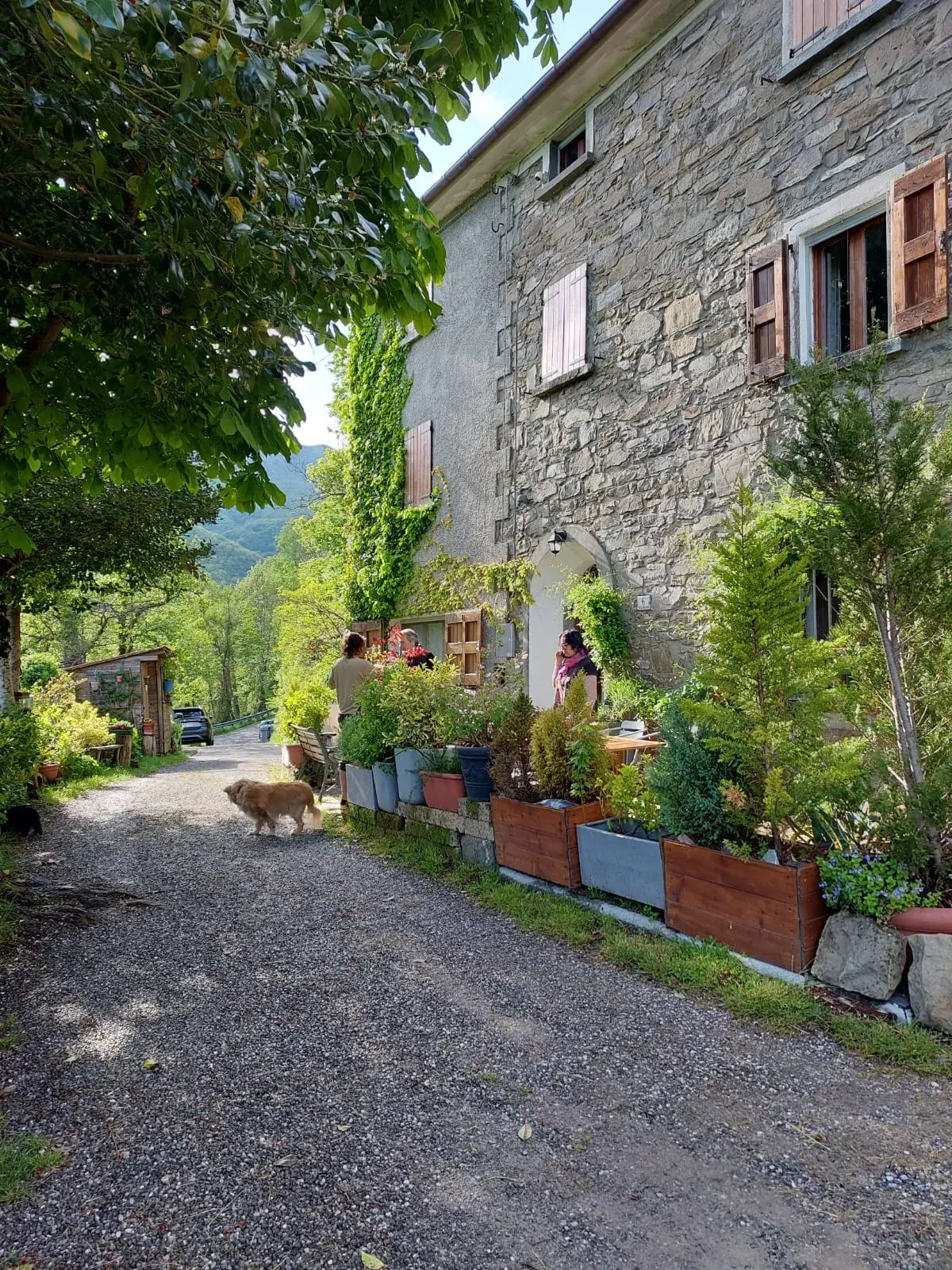 La stradina del paese fra case di pietra e vasi di fiori