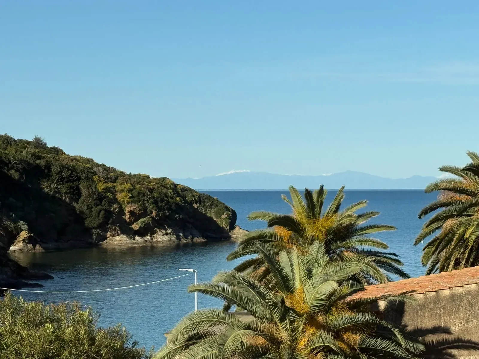 Una caletta dell'isola fra le palme e la scogliera verde